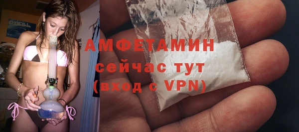 гидра Володарск
