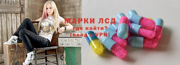 гидра Володарск