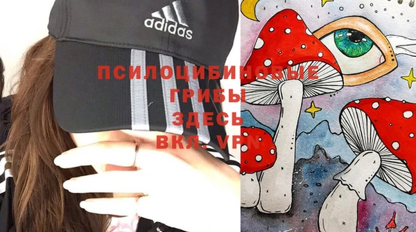 ПСИЛОЦИБИНОВЫЕ ГРИБЫ Волосово