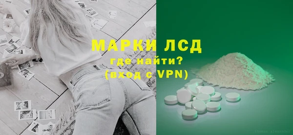 гидра Володарск