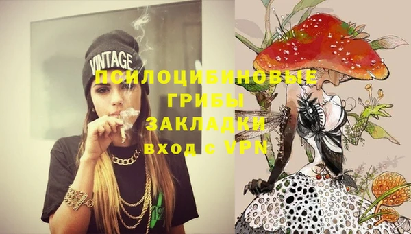 гидра Володарск