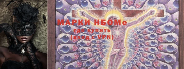 гидра Володарск