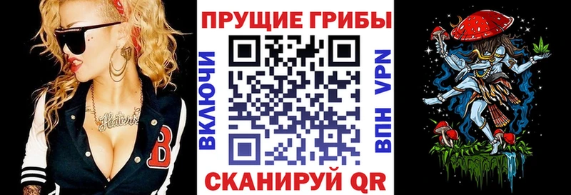 где можно купить наркотик  Рубцовск  Галлюциногенные грибы GOLDEN TEACHER 